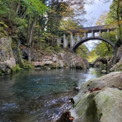 オノヤ 郡山リフォームショールーム ブログ「自然」