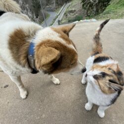 オノヤ 郡山リフォームショールーム ブログ「はじめまして！」