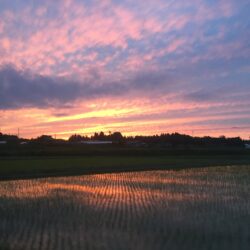 オノヤ 須賀川リフォームショールーム ブログ「田んぼと夕日」