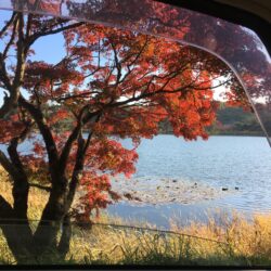 オノヤ 白河リフォームショールーム ブログ「南湖公園は紅葉が見ごろ」