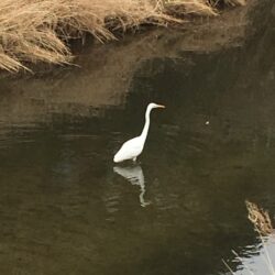 オノヤ 須賀川リフォームショールーム ブログ「思いがけない癒し」