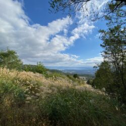 オノヤ 福島リフォームショールーム ブログ「紅葉狩り」