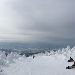 オノヤ 郡山リフォームショールーム ブログ「合同滑走会！！」