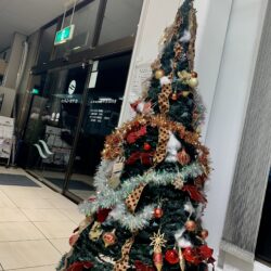 オノヤ 須賀川リフォームショールーム ブログ「ショールームがクリスマス仕様になりました！」