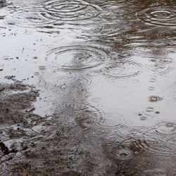 オノヤ 郡山リフォームショールーム ブログ「雨続き・・・台風も？」