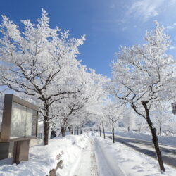 オノヤ 福島リフォームショールーム ブログ「今週末は雪予報」