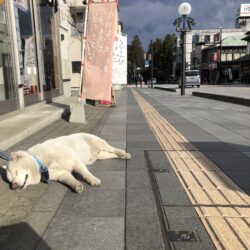 オノヤ 須賀川リフォームショールーム ブログ「一人旅」