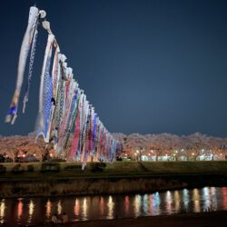 オノヤ 須賀川リフォームショールーム ブログ「夜桜🌸」