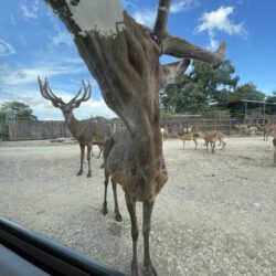 オノヤ 白河リフォームショールーム ブログ「」