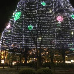 オノヤ 仙台南リフォームショールーム ブログ「雪夜に輝くイルミネーション」