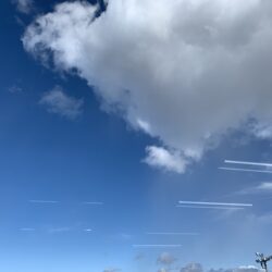 オノヤ 仙台南リフォームショールーム ブログ「さわやかな青空です。」