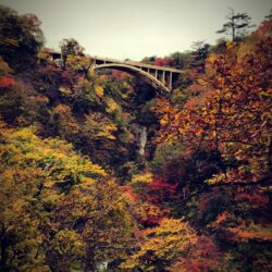 オノヤ 仙台泉リフォームショールーム ブログ「鳴子峡の紅葉」