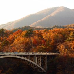 オノヤ 宮城野リフォームショールーム ブログ「紅葉していました」