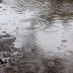 オノヤ 仙台南リフォームショールーム ブログ「初戦　雨」