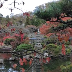 オノヤ 仙台中山リフォームショールーム ブログ「芋煮の季節になりました」