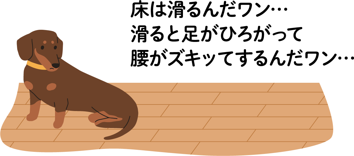 床は滑るんだワン・・・、滑ると足が広がって腰がズキッてするんだワン・・・