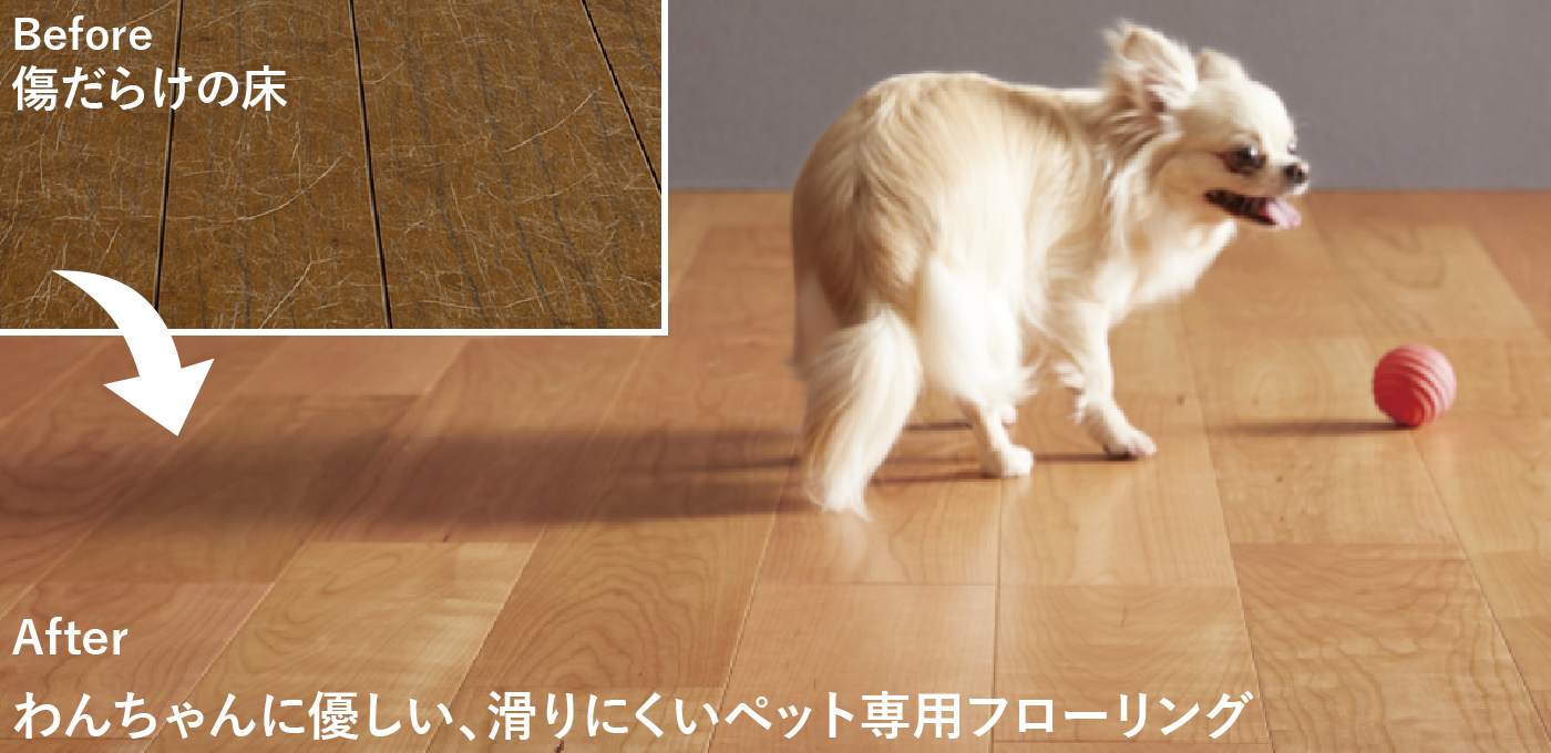 わんちゃんに優しい、滑りにくいペット専用フローリング